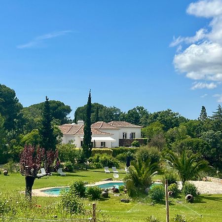 Вилла Quinta Da Arrabida Сесимбра Экстерьер фото