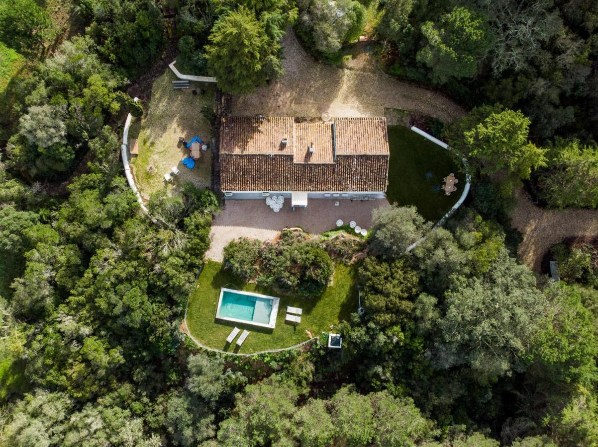 Вилла Quinta Da Arrabida Сесимбра Экстерьер фото