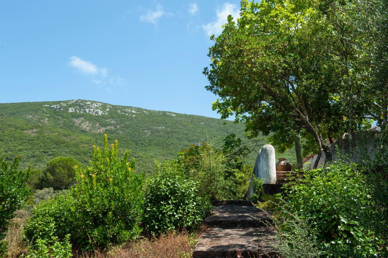 Вилла Quinta Da Arrabida Сесимбра Экстерьер фото